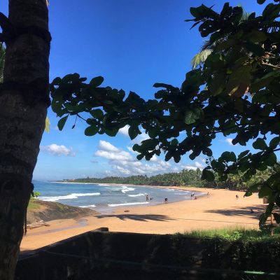 Sign of Life & Spirit of Life Resorts - Ayurveda in Sri Lanka — фото погоды в декабре (2019-12-26)