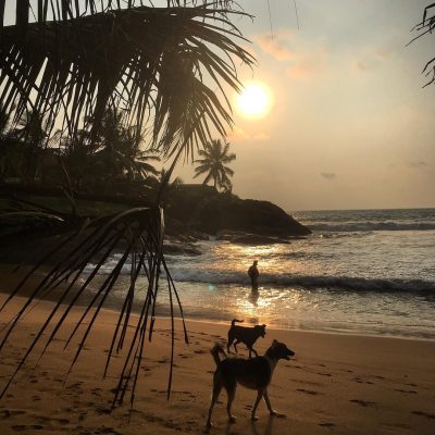 Sign of Life & Spirit of Life Resorts - Ayurveda in Sri Lanka — фото погоды в октябре (2020-10-31)