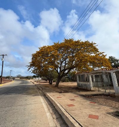 El Bichar, Isla De Coche, Venezuela в апреле — фото погоды (2026-04-22)