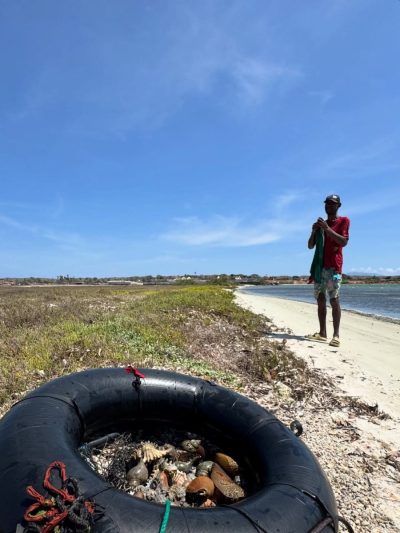 El Bichar, Isla De Coche, Venezuela в мае — фото погоды (2026-05-03)