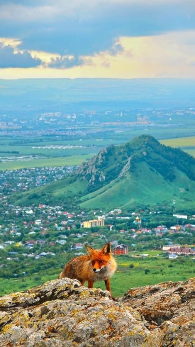 Железноводск в мае — фото погоды (2026-05-31)