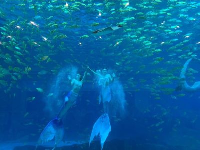 Sanya Haichang Fantasy Town 三亞海昌夢幻海洋不夜城 в мае — фото погоды (2025-05-30)