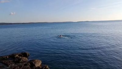 Punta Corrente Rovinj в декабре — фото погоды (2025-12-21)