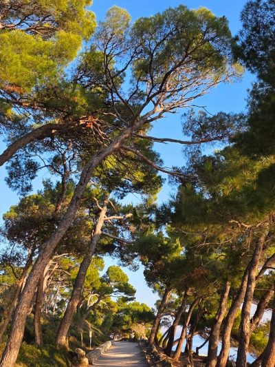 Punta Corrente Rovinj в январе — фото погоды (2026-01-26)