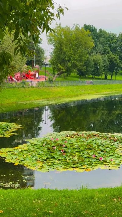 Царицыно в августе — фото погоды (2025-08-11)