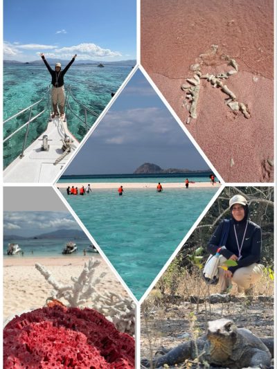 Pulau Padar, Taman Nasional Komodo, Nusa Tenggara Timur в июле — фото погоды (2026-07-12)