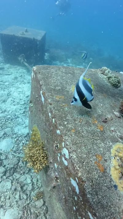 Koh Tao, Thailland в июле — фото погоды (2026-07-11)