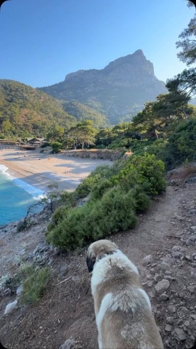 Kabak Koyu в июле — фото погоды (2026-07-13)