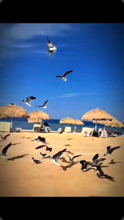 Sentido Reef Oasis Suakin Resort — фото погоды в мае (2026-05-29)
