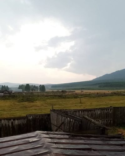 Колинград в июле — фото погоды (2020-07-20)