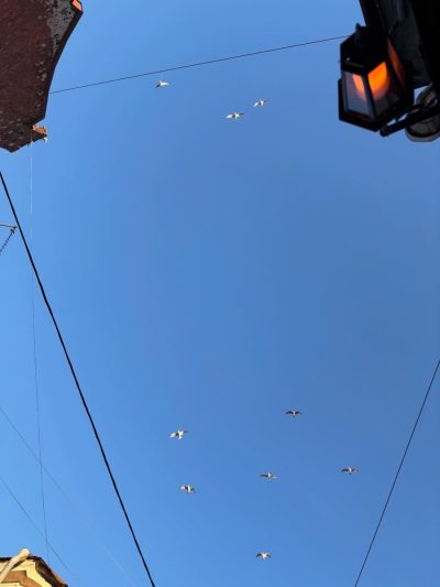 Г. Выборг в сентябре — фото погоды (2025-09-30)