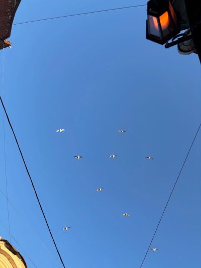 Г. Выборг в сентябре — фото погоды (2025-09-30)