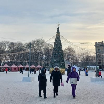 Выборг в январе — фото погоды (2026-01-06)