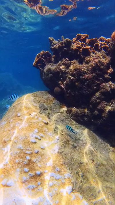 Koh Tao Island,Thailand в июне — фото погоды (2026-06-10)