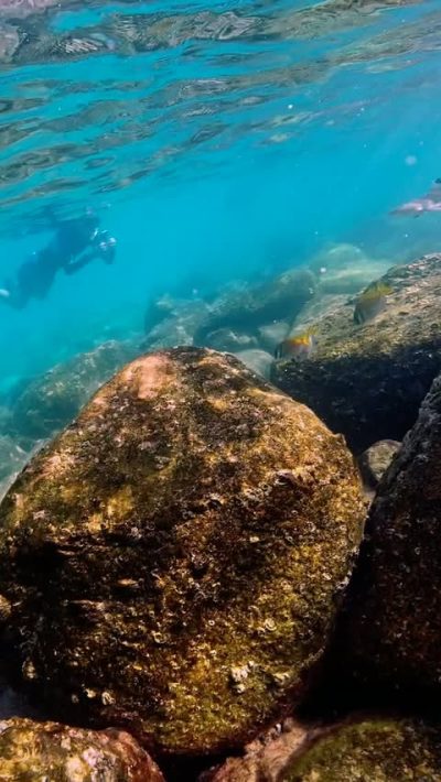 Koh Tao Island,Thailand в июне — фото погоды (2026-06-26)