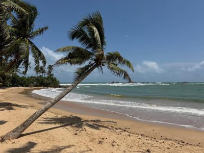 Hikkaduwa- the Beach в июле — фото погоды (2026-07-01)