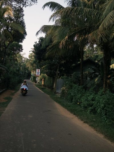 Weligama Surf Beach, Sri Lanka в январе — фото погоды (2026-01-24)
