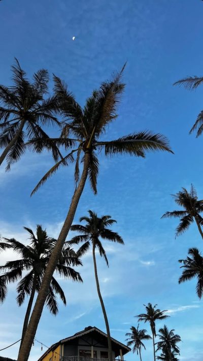 Weligama Surf Beach, Sri Lanka в апреле — фото погоды (2026-04-30)