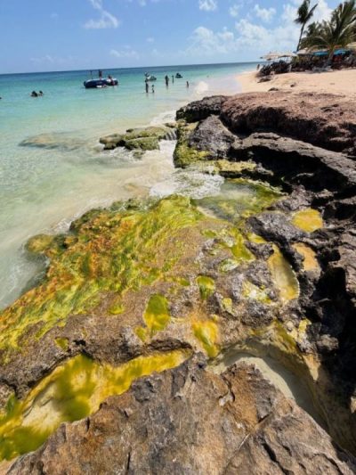 Cozumel, Mexico в июне — фото погоды (2026-06-23)