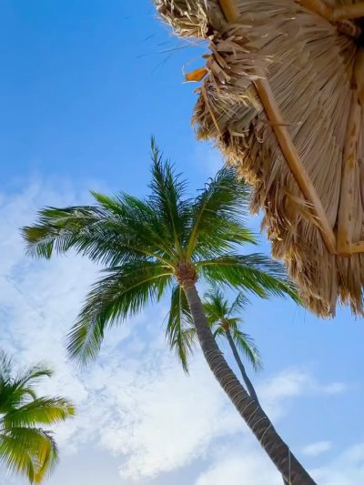 Tanjung Rhu Beach,Langkawi Island в декабре — фото погоды (2025-12-26)