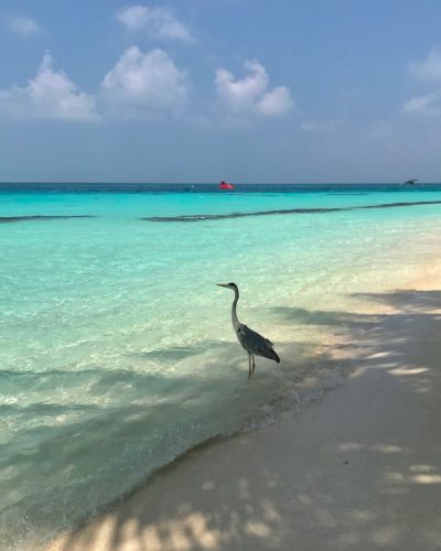 Kuramathi Island, Maldives, Indian Ocean в сентябре — фото погоды (2025-09-05)