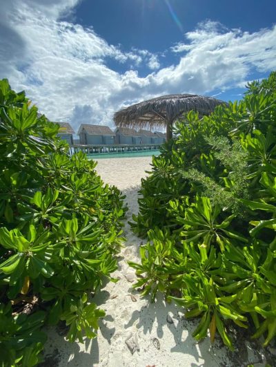 Kuramathi Island, Maldives, Indian Ocean в декабре — фото погоды (2025-12-29)