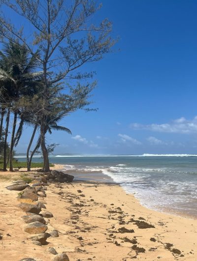 SO/ Mauritius в сентябре — фото погоды (2025-09-21)