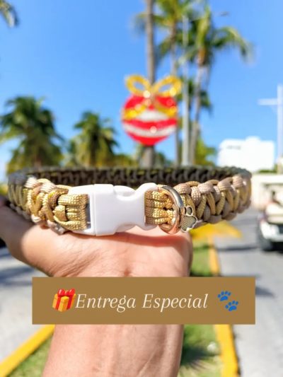 Isla Mujeres Centro, Quintana Roo в ноябре — фото погоды (2025-11-22)