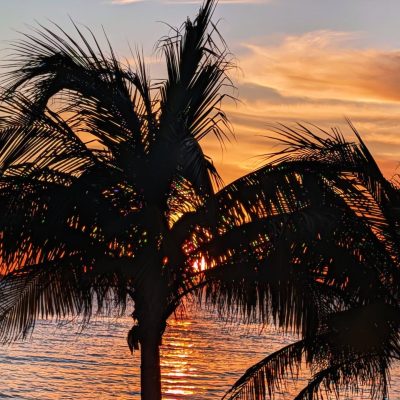 Isla Mujeres Centro, Quintana Roo в январе — фото погоды (2026-01-31)