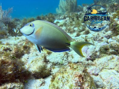 Isla Mujeres Centro, Quintana Roo в июне — фото погоды (2026-06-27)