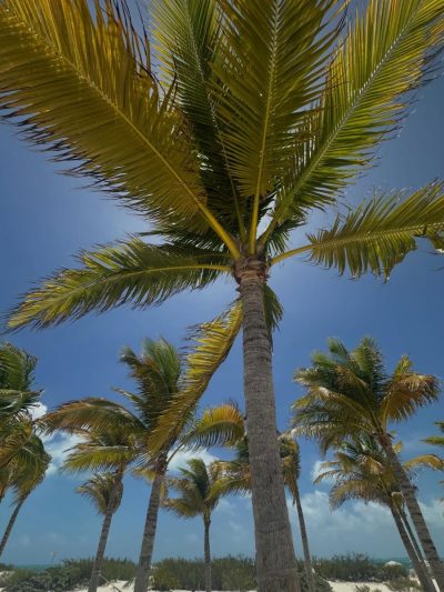 Playa de Isla Mujeres в июне — фото погоды (2026-06-26)