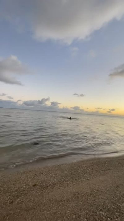 Bel Ombre, Mauritius в августе — фото погоды (2025-08-24)