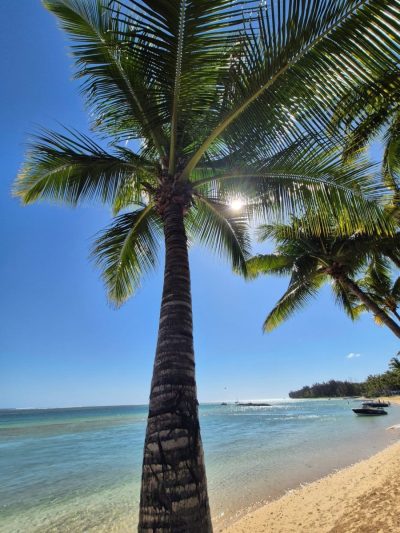 Bel Ombre, Mauritius в октябре — фото погоды (2025-10-15)