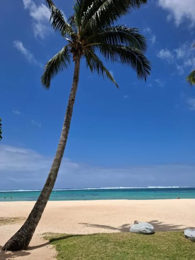 Bel Ombre, Mauritius в ноябре — фото погоды (2025-11-16)