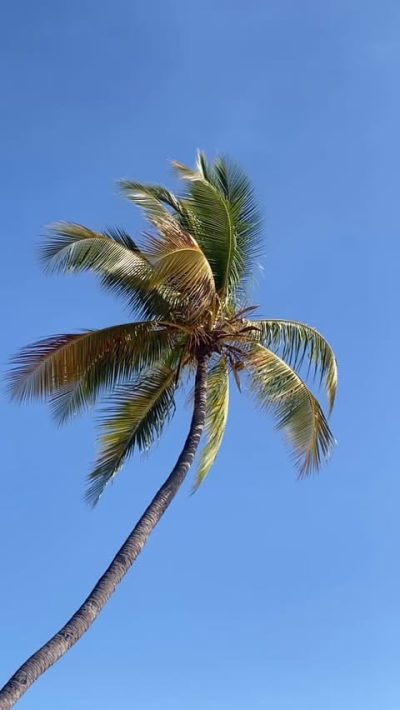 Royal Beach Hotel & Spa Nosy Be — фото погоды в сентябре (2025-09-25)