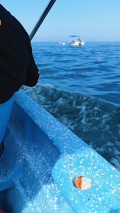 Playa las Animas- Pto. Vallarta в октябре — фото погоды (2025-10-14)