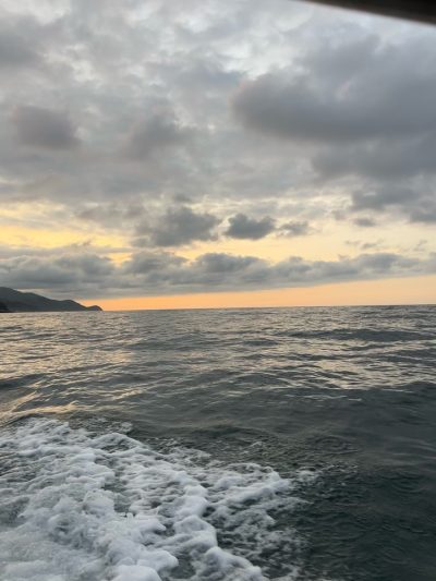 Playa las Animas- Pto. Vallarta в декабре — фото погоды (2025-12-17)