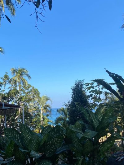 Playa las Animas- Pto. Vallarta в январе — фото погоды (2026-01-06)