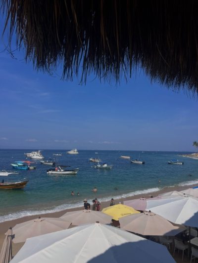 Playa las Animas- Pto. Vallarta в январе — фото погоды (2026-01-13)