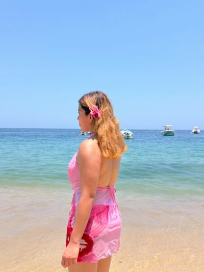 Playa las Animas- Pto. Vallarta в мае — фото погоды (2026-05-26)