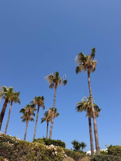 Protaras, Cyprus в июле — фото погоды (2026-07-13)