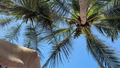 Playa Guacuco в июне — фото погоды (2026-06-24)