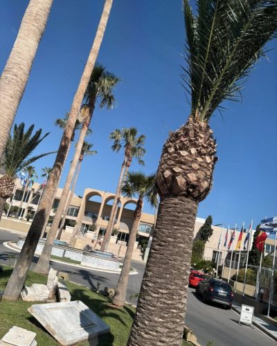 Cactus Beach Hotel & Bungalows — фото погоды в мае (2026-05-26)