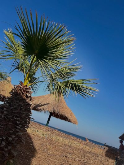 Lotus Bay Beach Resort, Safaga Egypt — фото погоды в августе (2025-08-06)