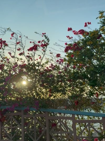 ElGouna Red Sea в июне — фото погоды (2026-06-09)
