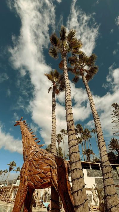 Costa Adeje Beach в январе — фото погоды (2026-01-19)