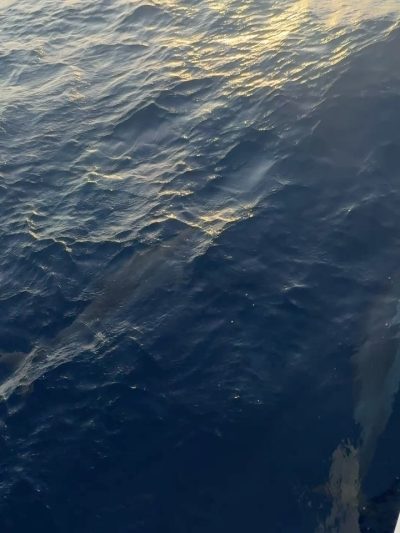 L Île Maurice Flic En flac в декабре — фото погоды (2025-12-04)