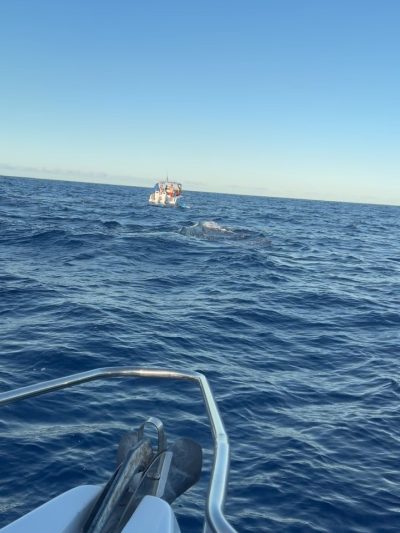 L Île Maurice Flic En flac в мае — фото погоды (2026-05-08)