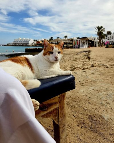Beach at Arabia Azur Resort Hurghada — фото погоды в январе (2026-01-04)