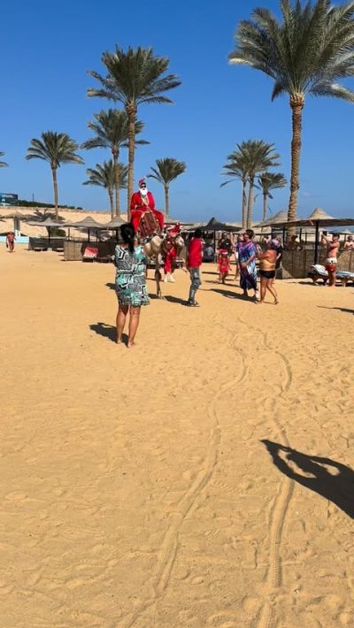 Elphistone Marsa Alam Resort — фото погоды в декабре (2025-12-24)